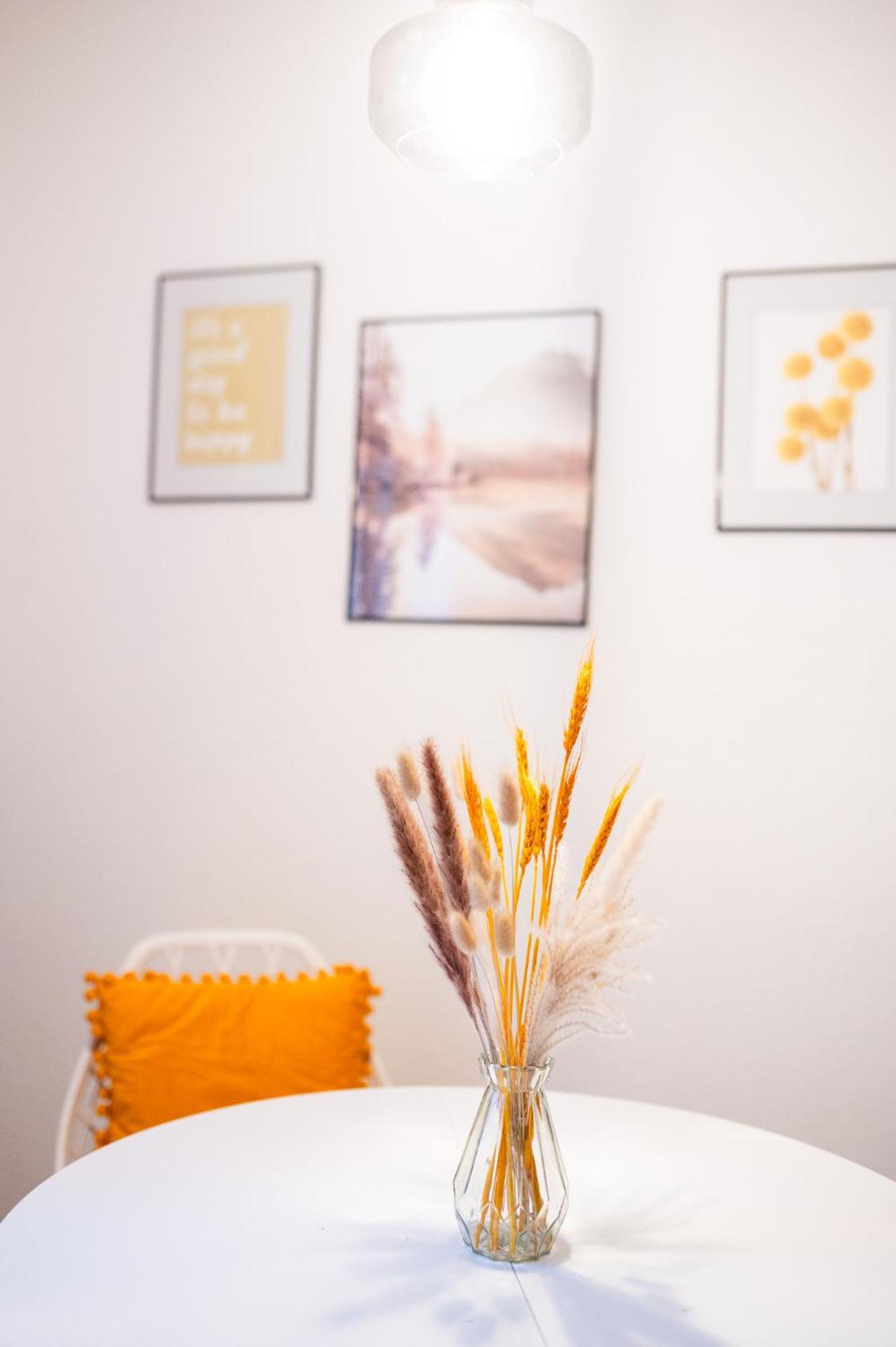 Appartement Stilvoll Und Gemuetlich - Wohnen Mit Flair à Albstadt Extérieur photo