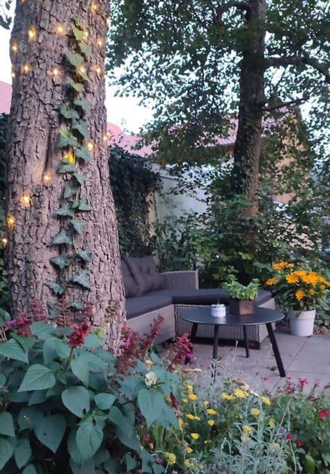 Appartement Stilvoll Und Gemuetlich - Wohnen Mit Flair à Albstadt Extérieur photo