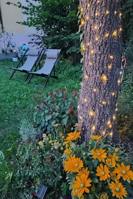 Appartement Stilvoll Und Gemuetlich - Wohnen Mit Flair à Albstadt Extérieur photo